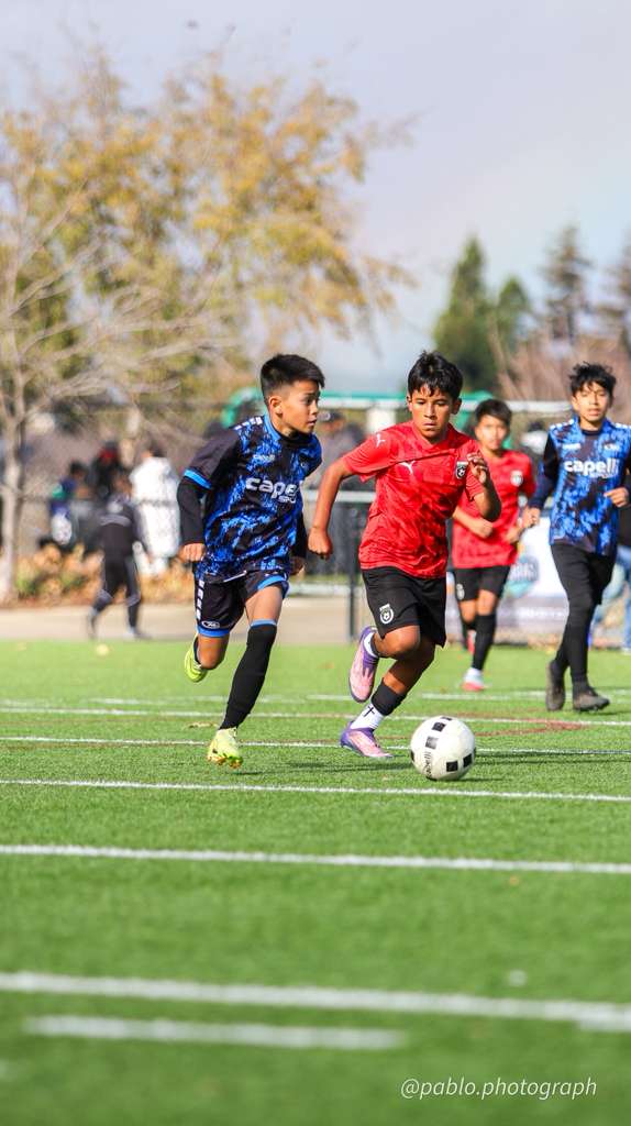 Goat Soccer Cup 2nd Edition